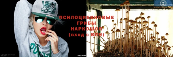 кокс Алзамай