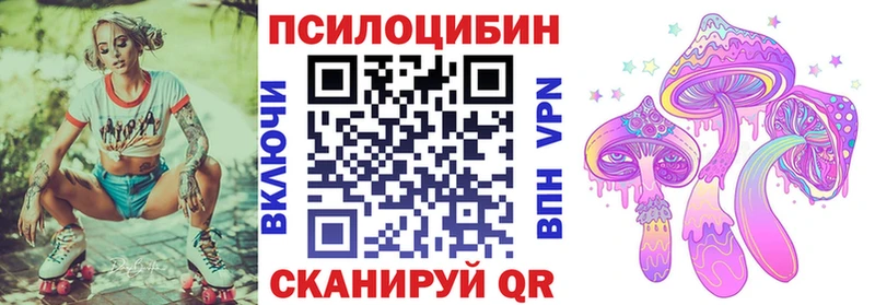 где продают наркотики  Выкса  блэк спрут зеркало  Псилоцибиновые грибы Magic Shrooms 