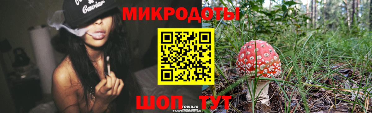 Псилоцибиновые грибы мицелий  Вход с VPN  Выкса  Галлюциногенные грибы Magic Shrooms 